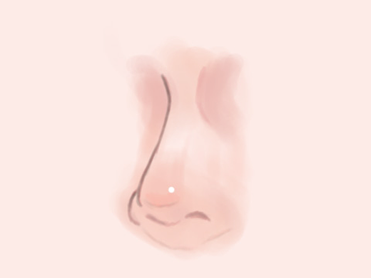 鼻子