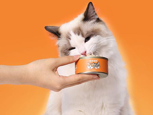 猫罐头详情页