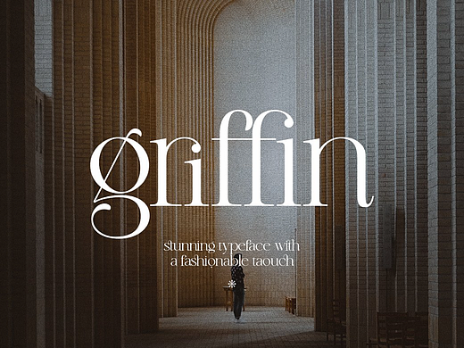 现代优雅经典时尚品牌杂志画册封面排版衬线英文字体