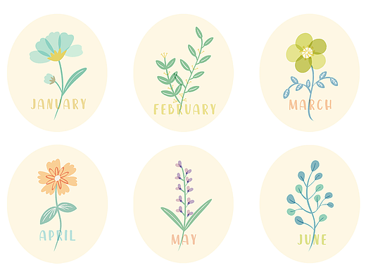 月份花卉插畫（個人主頁-ZNjUyMjAwNTY=） - 創(chuàng)作習(xí)作 - 站酷設(shè)計師小婷子zi原創(chuàng)素材 - 站酷ZCOOL