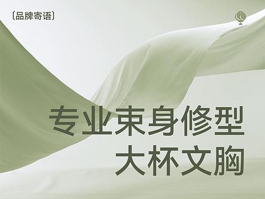 奥夜 x 朵凡妮/Dorfalne丨束身修型大杯内衣详情设计