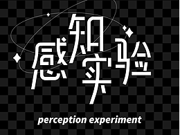 《感知实验》