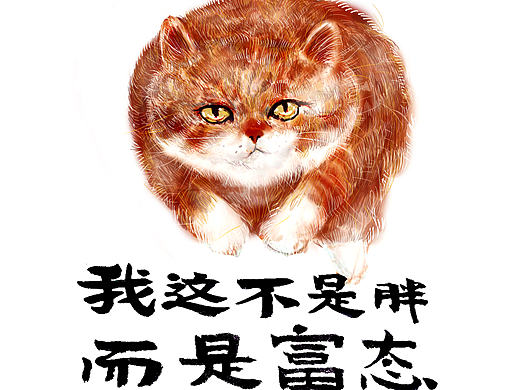 胖小猫