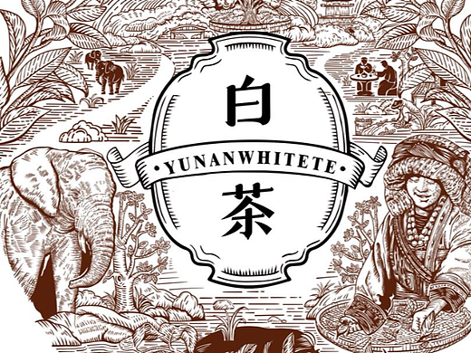 云南白茶包装
