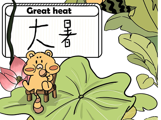 浣浣夏天游
