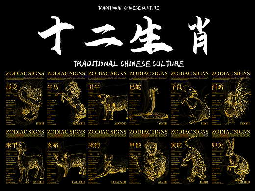 中国生肖文化|装饰型插画