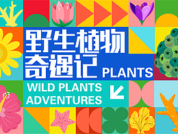 方案
