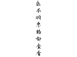 永不凋零的郁金香