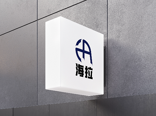 海拉品牌视觉设计