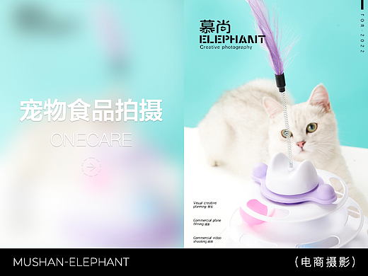 宠物玩具摄影『GPN宠物猫咪转盘球 』 X 慕尚大象