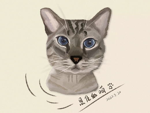 思佳的喵（个人主页-ZNjIwMTQ5Njg=） - 创作习作 - 站酷设计师吴呀w原创素材 - 站酷ZCOOL