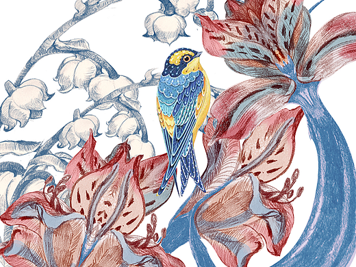 花卉包装插画