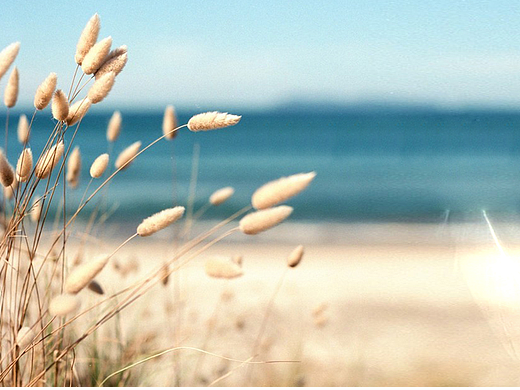 岛居康养提案视觉