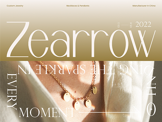 2022-03 | Zearrow 外贸品牌推广 独立站设计