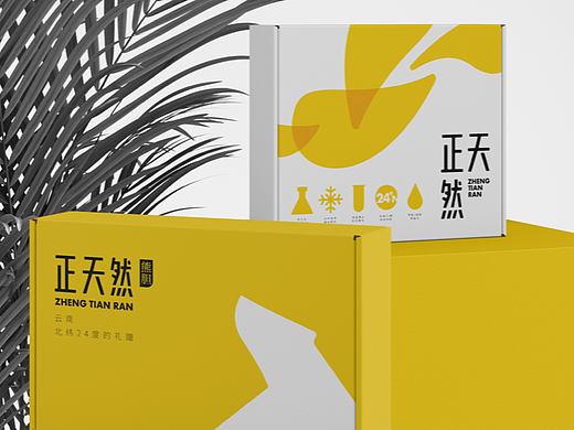 正天然｜保健品品牌视觉设计