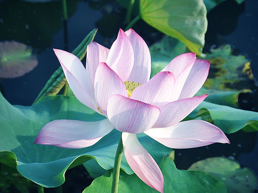 风景拍摄