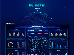 养老大数据可视化分析