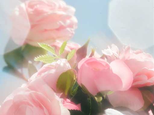 香氛泉 新娘手捧花 香氛洗衣液 高端日化产品