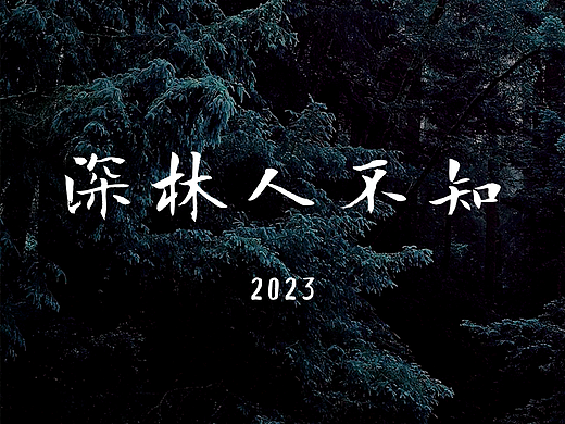 深林人不知