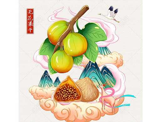 无花果干手绘插画
