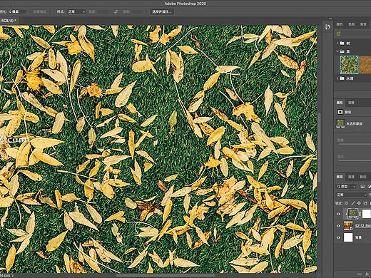 Camera Raw 14  v14.4.0中文版