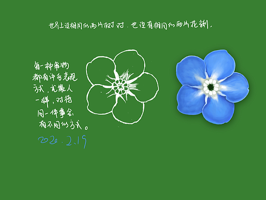【我的超级临摹】手绘其他，耧斗菜，郁金香，蝴蝶，