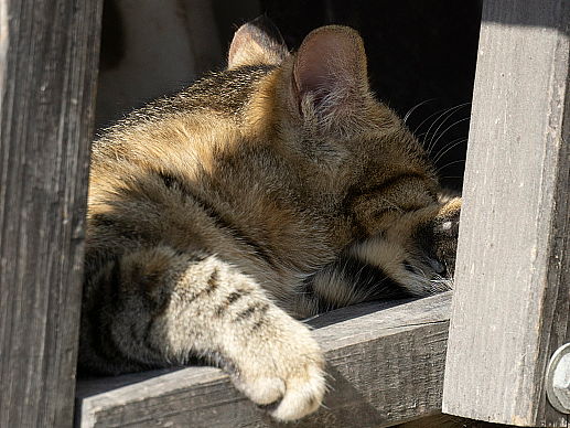 2022-2023年度照片📷