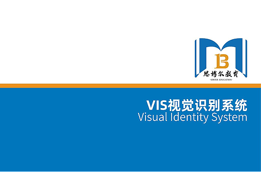 VIS视觉识别系统