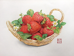 彩铅教程