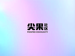 中建 嘉和城 提案-VI