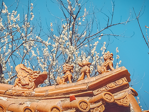 人间四月芳菲尽， 山寺桃花始盛开（个人主页-ZNjQ1NTkwNzI=） - 风光摄影 - 站酷设计师DavidDesignCN原创素材 - 站酷ZCOOL