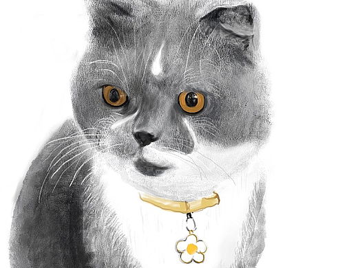 插画海报设计（个人主页-ZMTc1NTM5NTI=） - 商业插画 - 站酷设计师wupeipei07原创素材 - 站酷ZCOOL