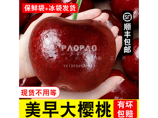 美早大樱桃图片，详情，视频全套高清素材可商用