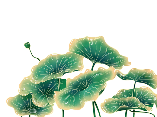 荷叶