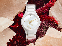 产品 |『RADO-星座系列陶瓷碗表 』