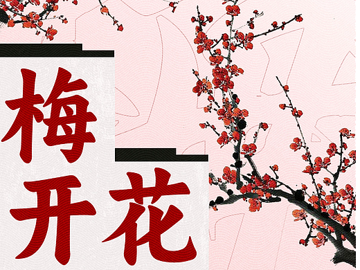 DAY9 梅开花 雕刻版画（个人主页-ZNjQ5MjQ5Mjg=） - 海报 - 站酷设计师东北香蕉老皮猪原创素材 - 站酷ZCOOL