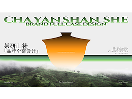 方案