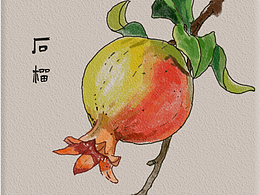 临摹石榴