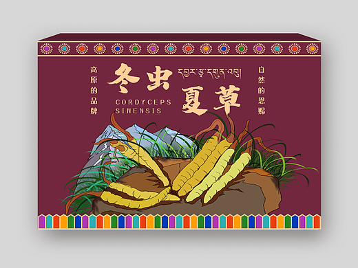 冬虫夏草包装设计