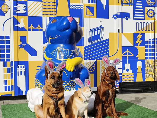 中国新年游行 - 兔子