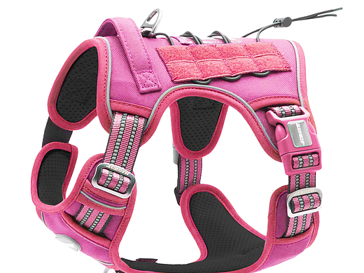 亚马逊--魔术贴款狗背带