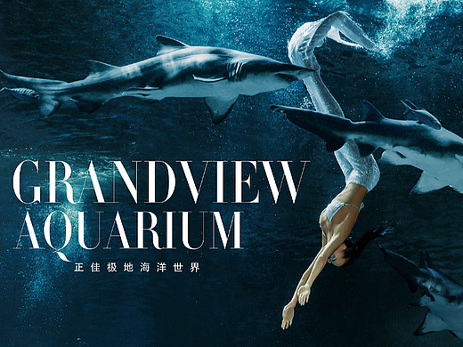 正佳极地海洋世界 KV+海报