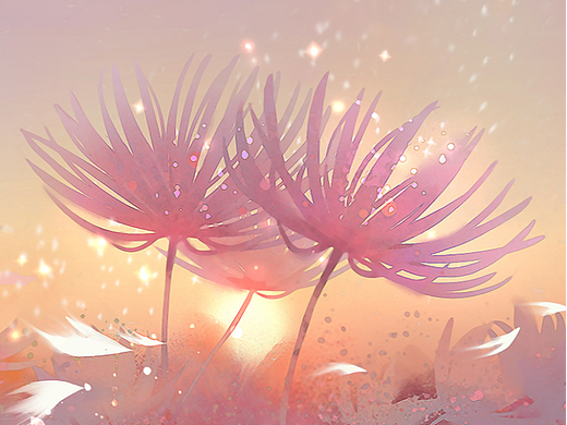 日落小花（个人主页-ZNjQ0MDk0MDA=） - 创作习作 - 站酷设计师糖糖米拉原创素材 - 站酷ZCOOL