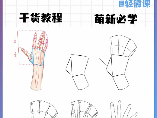如何快速学会画手部？​超详细画手部教程！