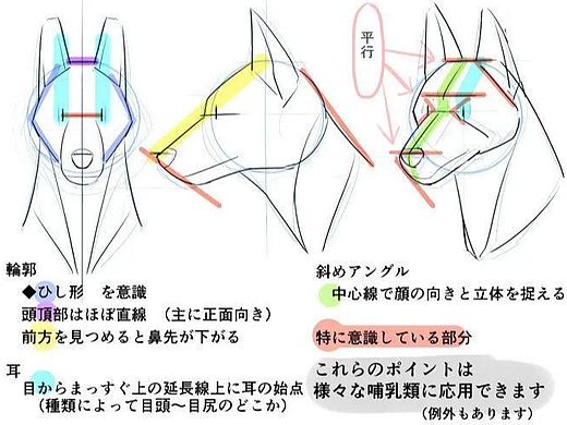 【素材】福瑞参考专场！新手也能画出可爱的兽人