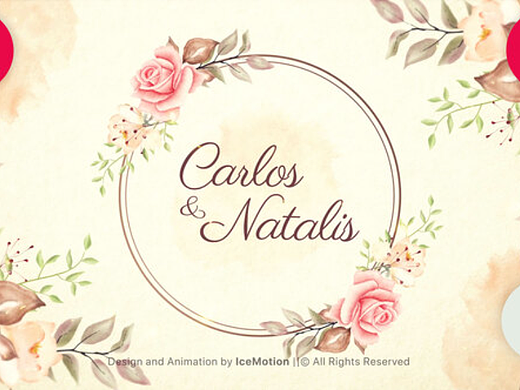 AE模板 | 浪漫简约婚礼请柬动态动画电影综艺片头展示