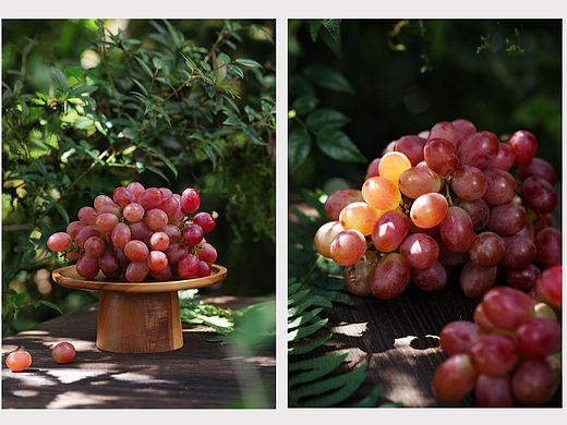 葡萄/橘子/橙子/余甘子/油苷/橄榄/莲子/桃/水蜜桃