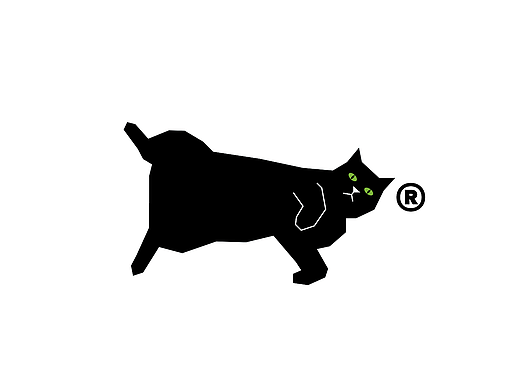 养生小伙JW与人精猫の日常