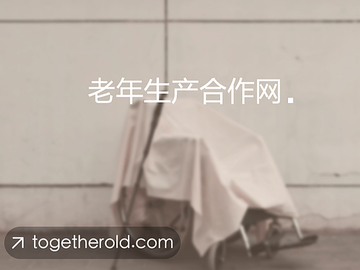 #2022青春答卷#老年生产合作社