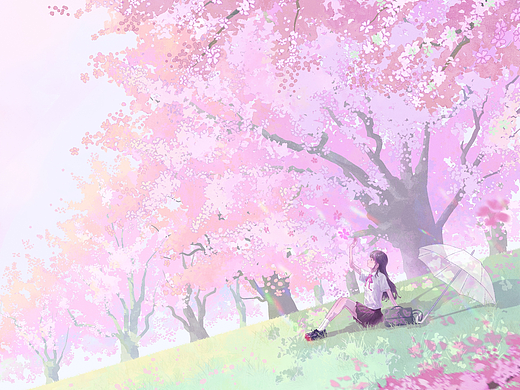 樱花树下
